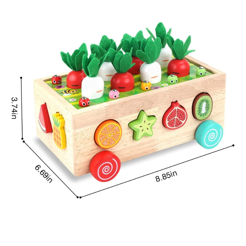 Wooden Montessori Carrot Harvest & Fruit Sorting Toy for Toddlers, Ages 1-3
